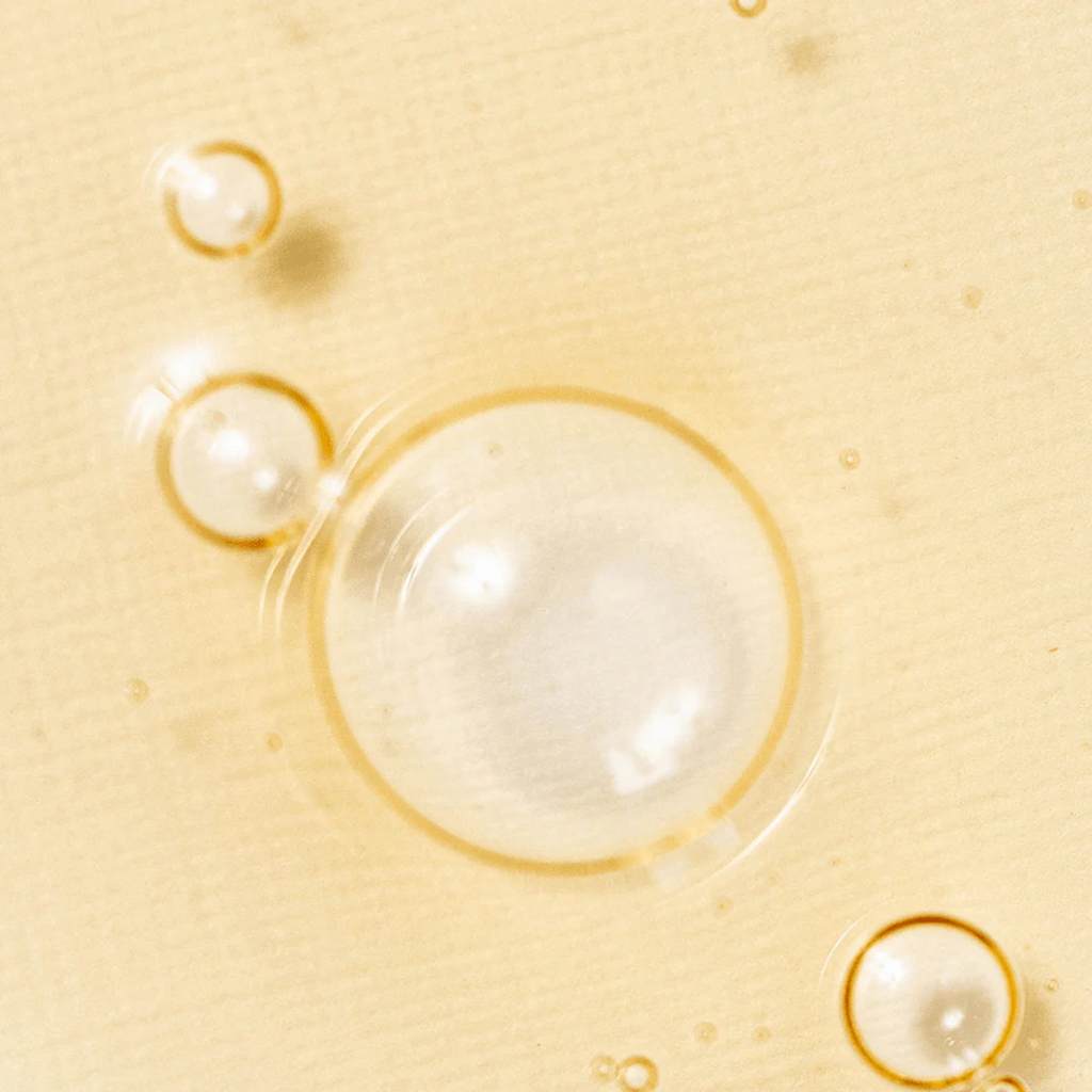 GINSENG 2.png