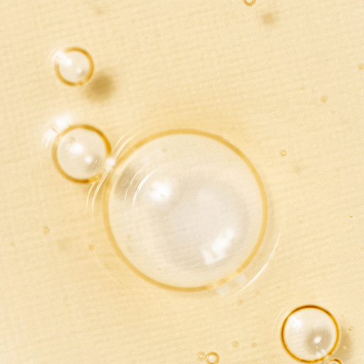 GINSENG 2.png